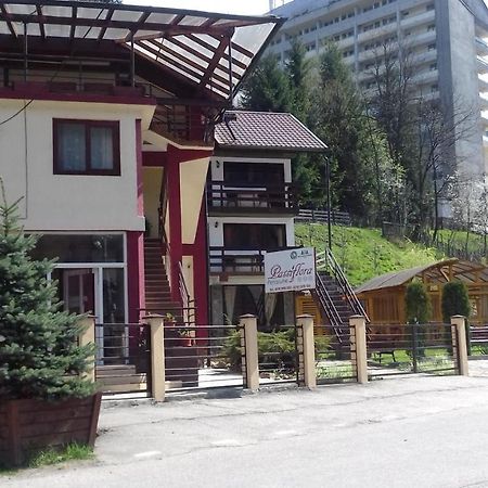Hotel Passiflora Voineasa Zewnętrze zdjęcie