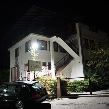 Hotel Passiflora Voineasa Zewnętrze zdjęcie