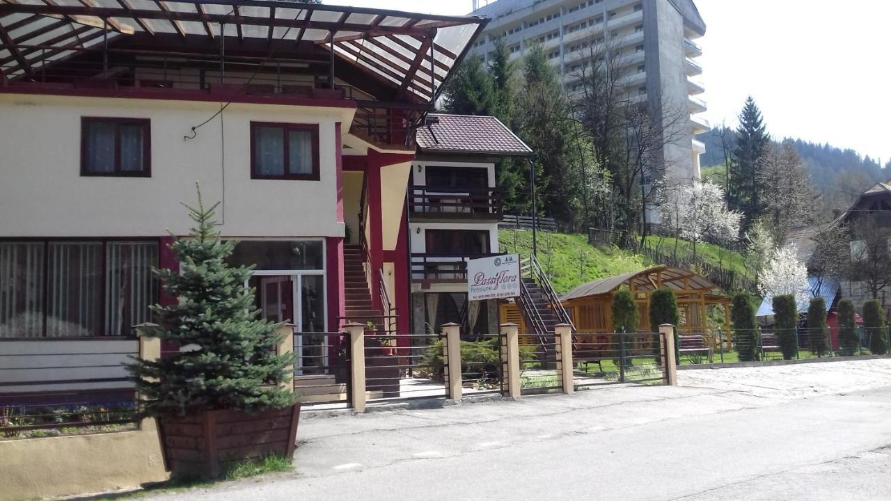 Hotel Passiflora Voineasa Zewnętrze zdjęcie