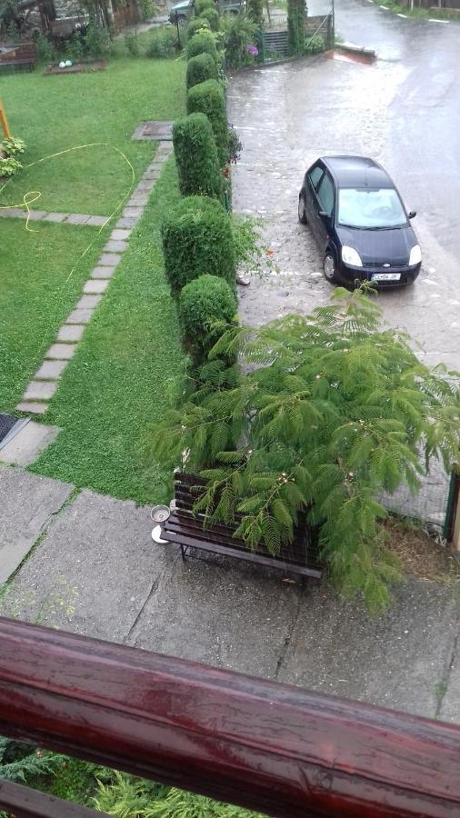 Hotel Passiflora Voineasa Zewnętrze zdjęcie
