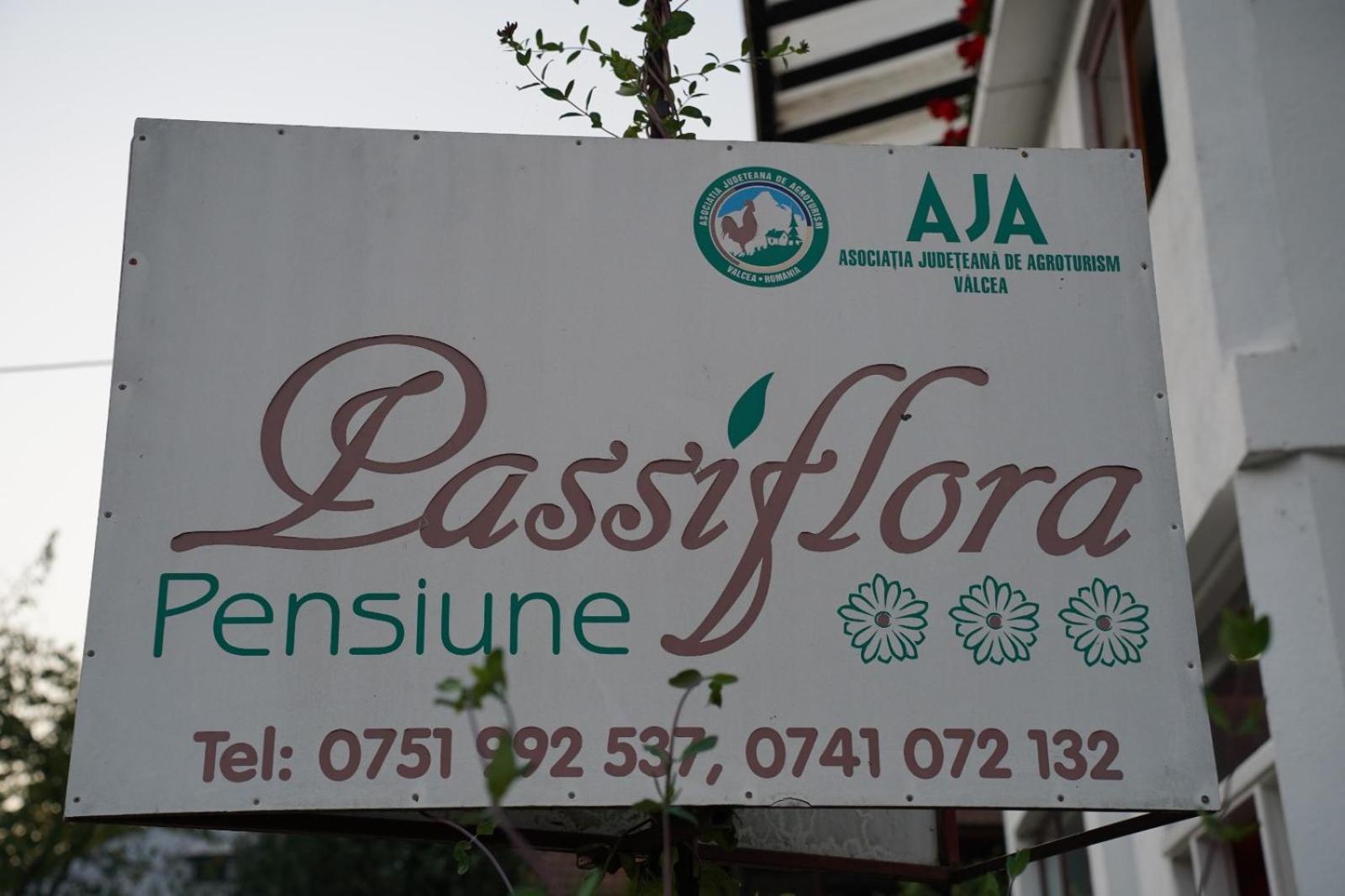 Hotel Passiflora Voineasa Zewnętrze zdjęcie